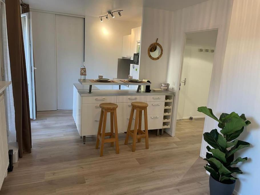 Studio 28 M2 & Jardin Privatif 20 M2 Montigny-le-Bretonneux Dış mekan fotoğraf